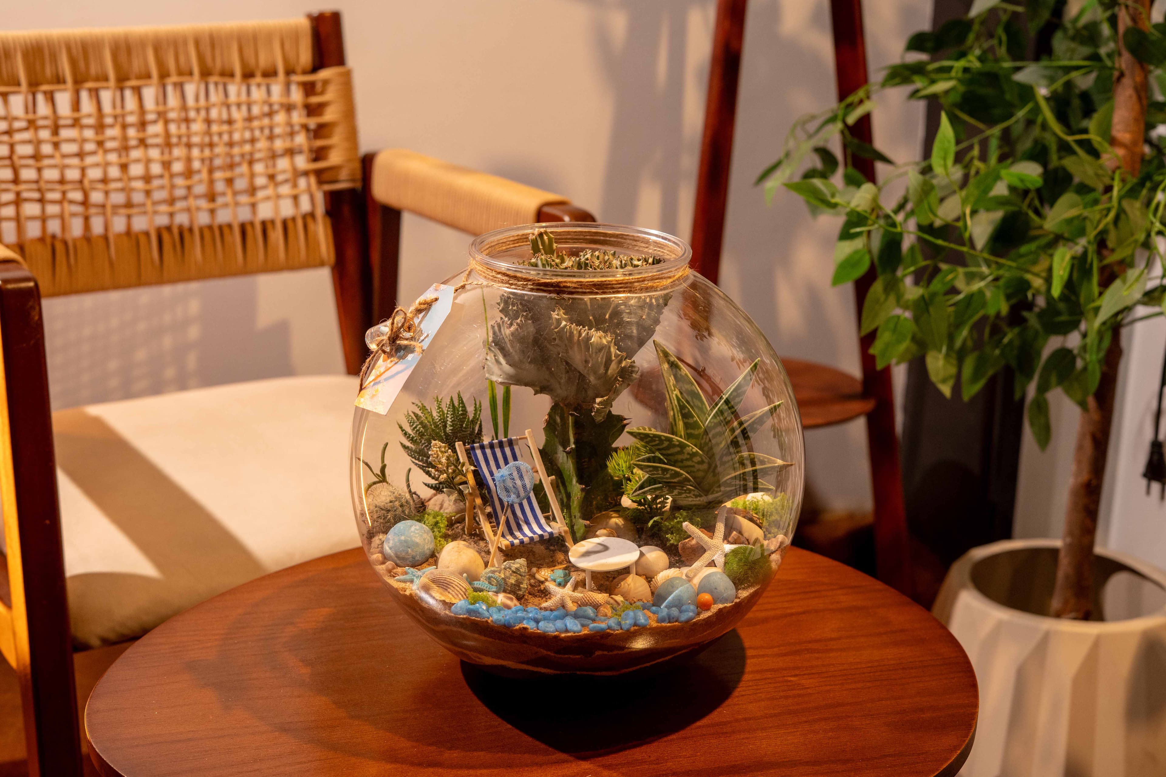 Plant vases in a serene setting