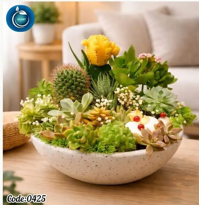Centerpieces & Premium Bowl (0425)