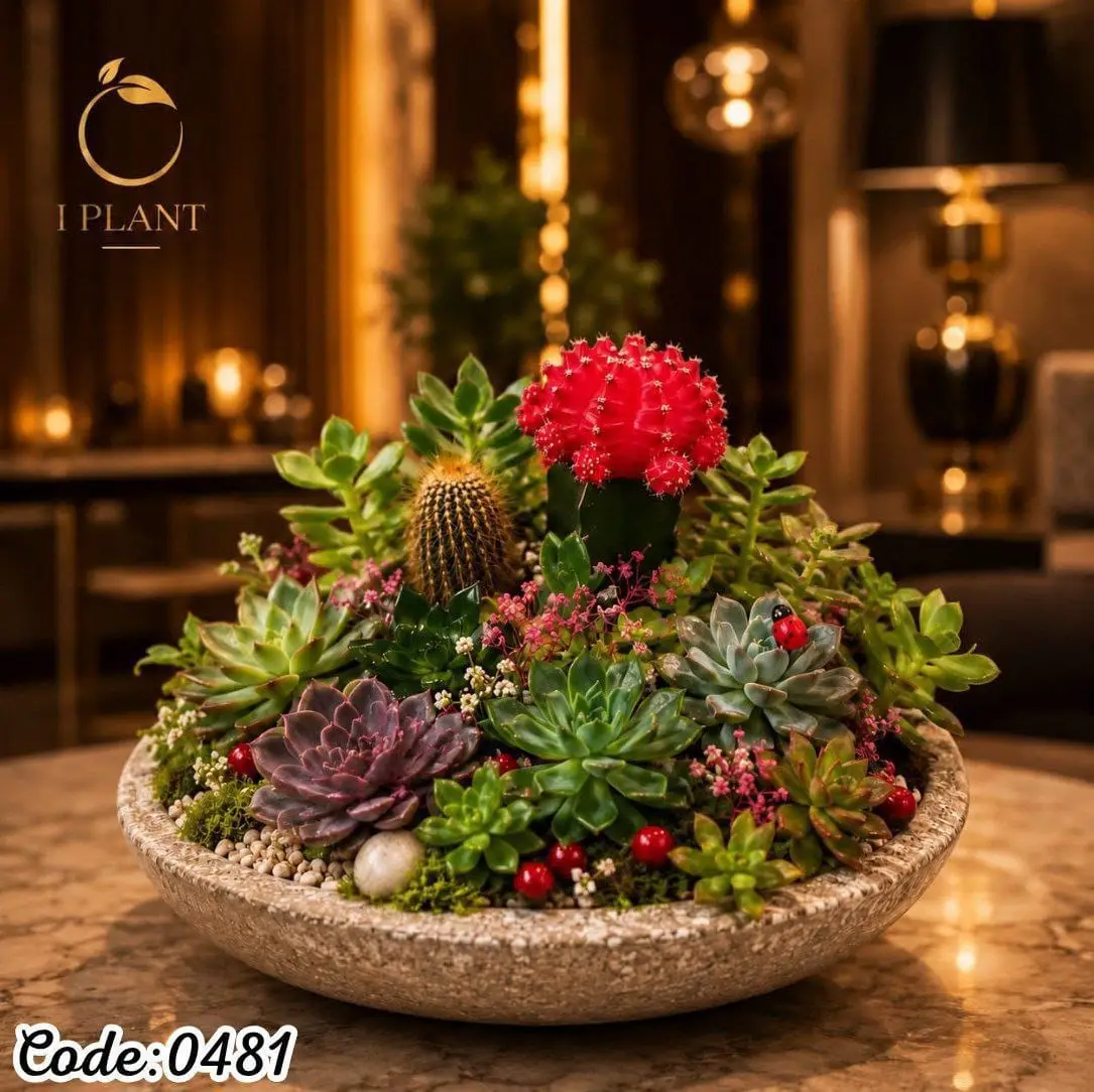 Centerpieces & Premium Bowl (0481)