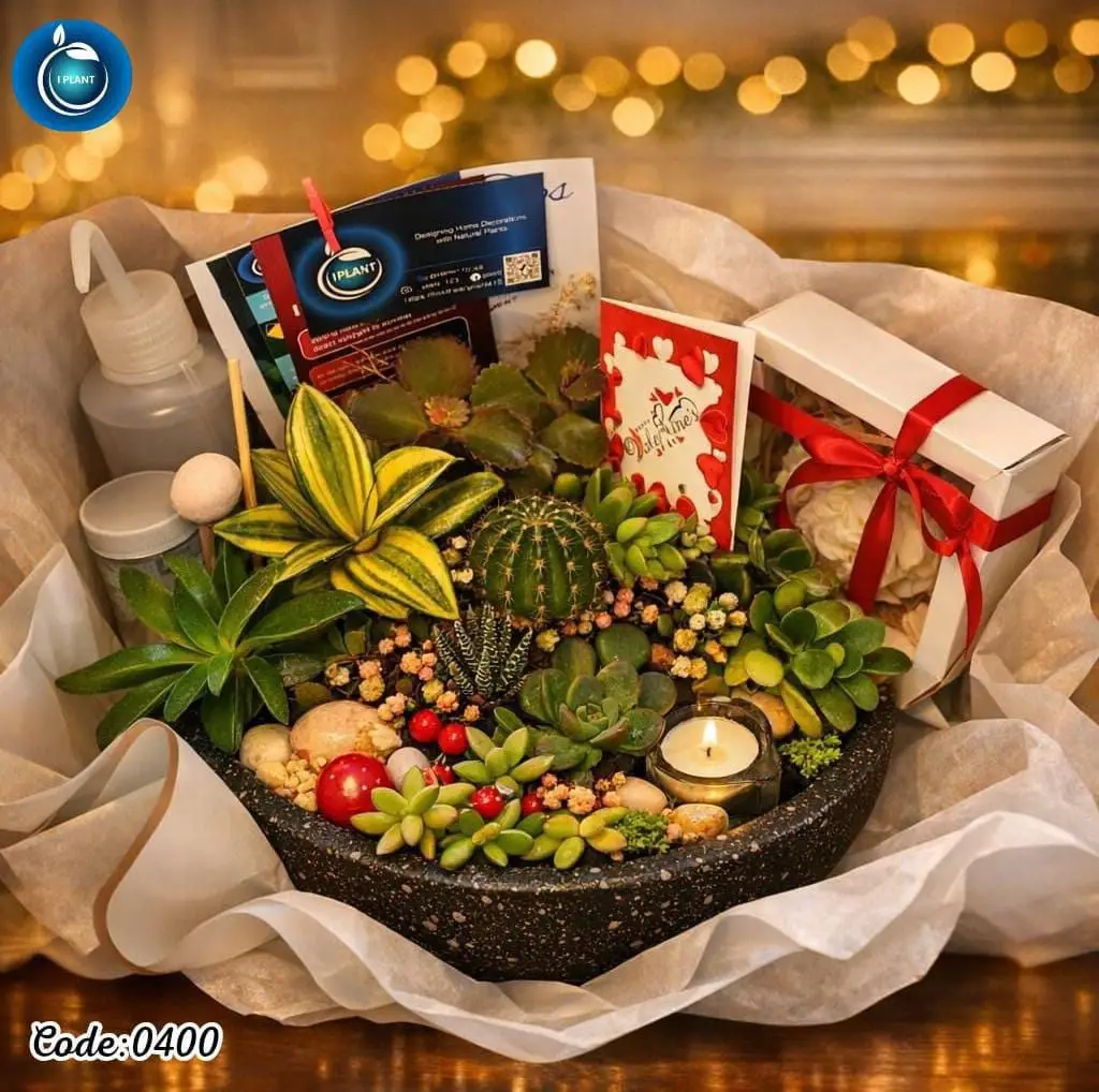 Plant Gift (0400)