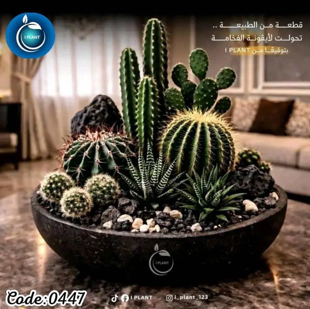 Centerpieces & Premium Bowl (0447)