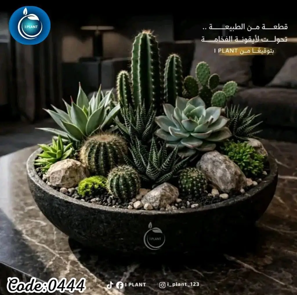Centerpieces & Premium Bowl (0444)