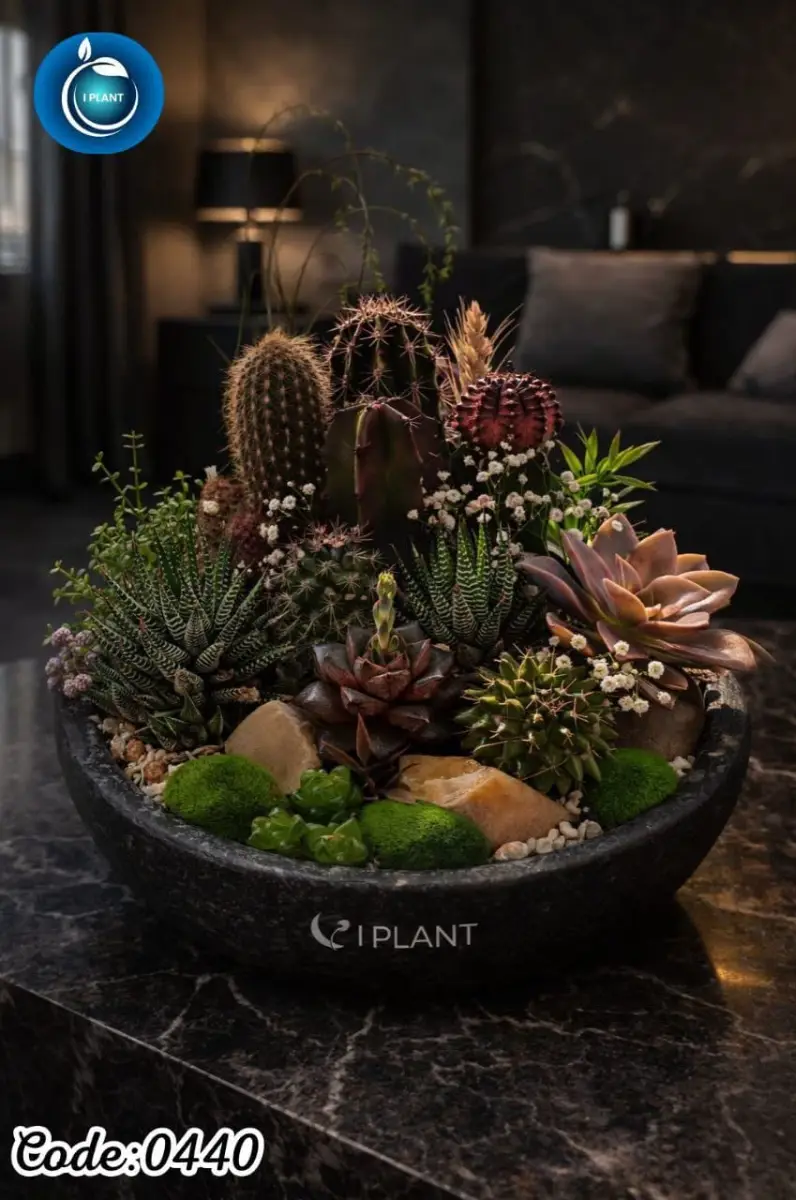 Centerpieces & Premium Bowl (0440)