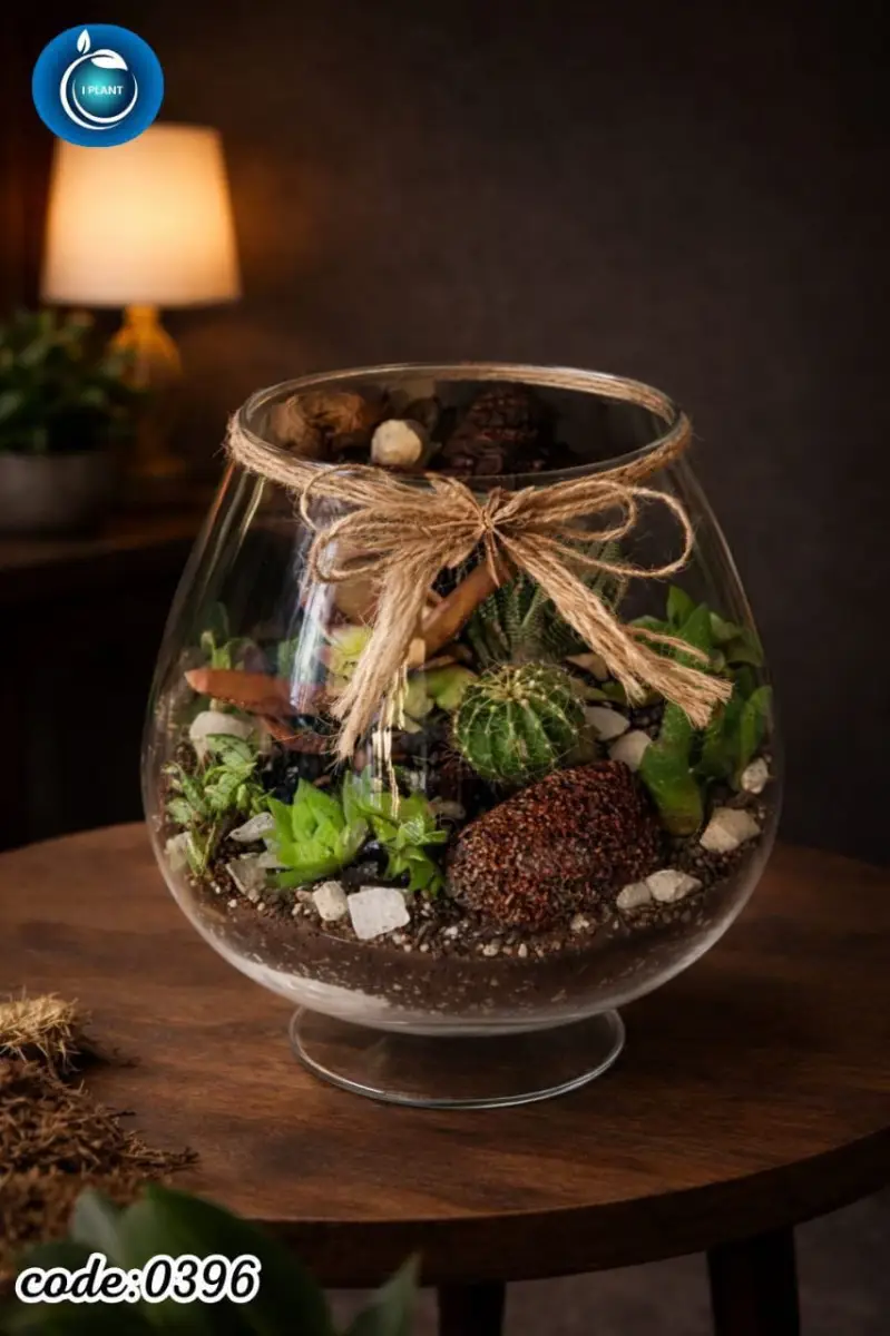Terrarium (0396) - view 1