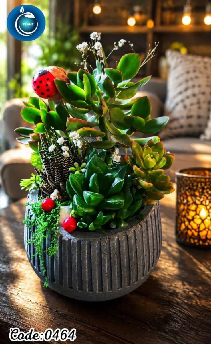 Mini & Desk Design (0464) - view 1